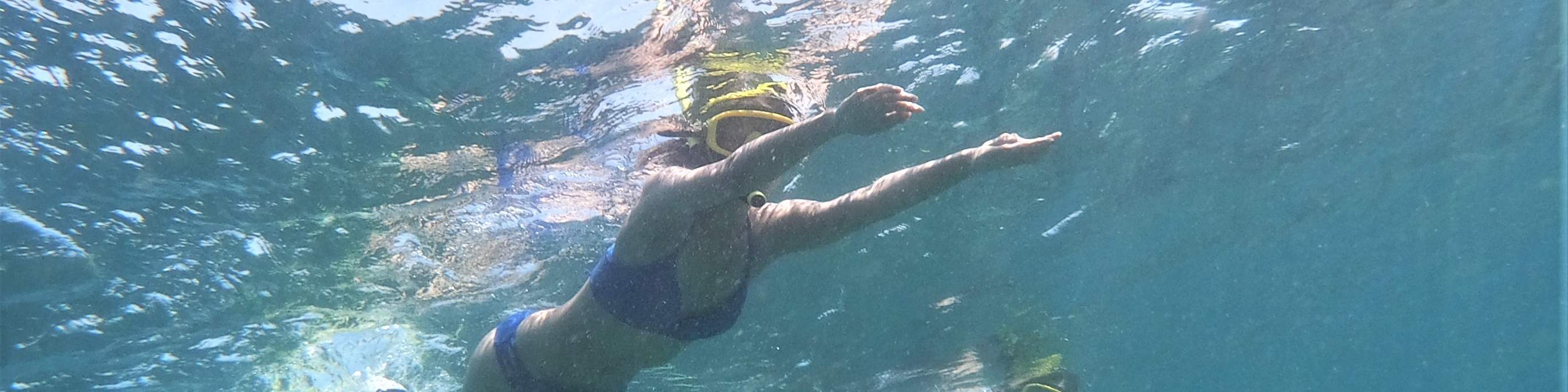 Остров Черепах, Лодка со Стеклянным Дном, Круиз по Мангровым зарослям от JTB Indonesia