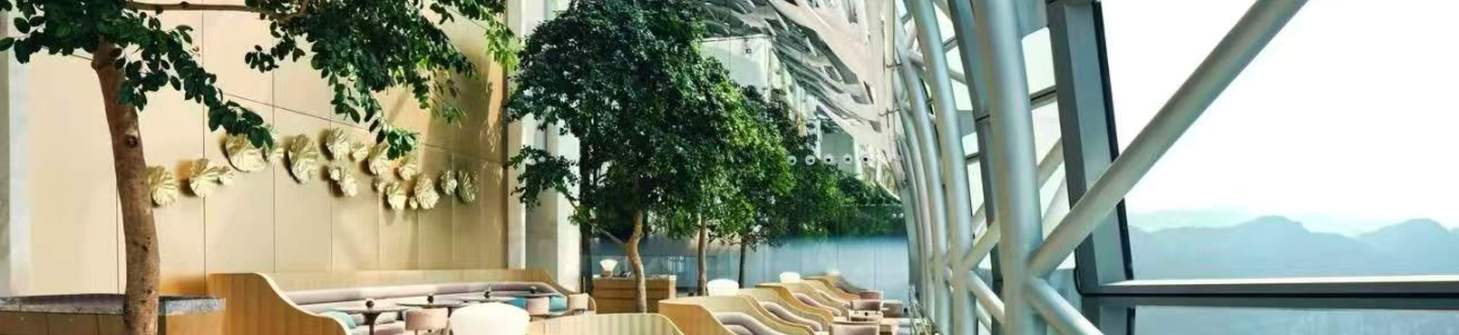 El amplio uso de cristal crea un espacio diáfano con vistas panorámicas de la ciudad y las montañas. La vegetación que lo adorna crea un ambiente natural, confortable y elegante, ideal para relajarse, descansar y disfrutar del paisaje urbano.