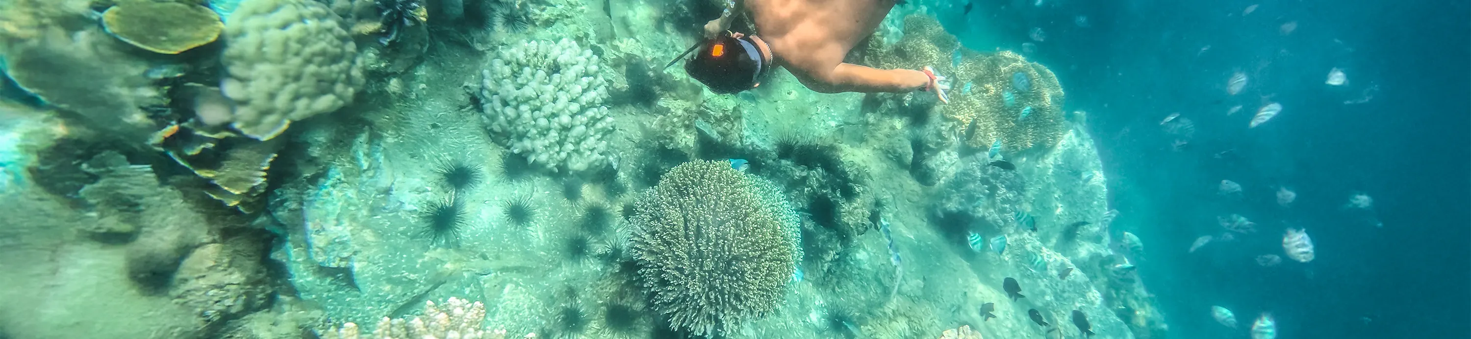 Tour tham quan Nha Trang: Quẩy Bar nổi, Bãi Mini và lặn biển ở Đảo Mun