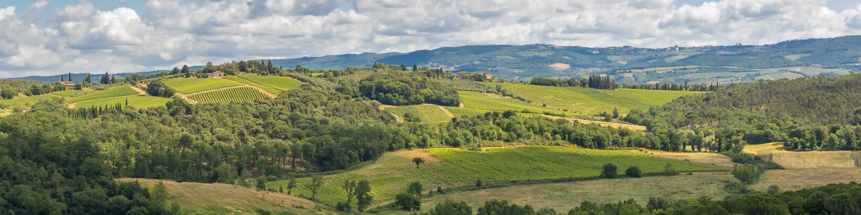 Насладитесь очаровательной атмосферой региона Кьянти, окруженного пологими холмами.