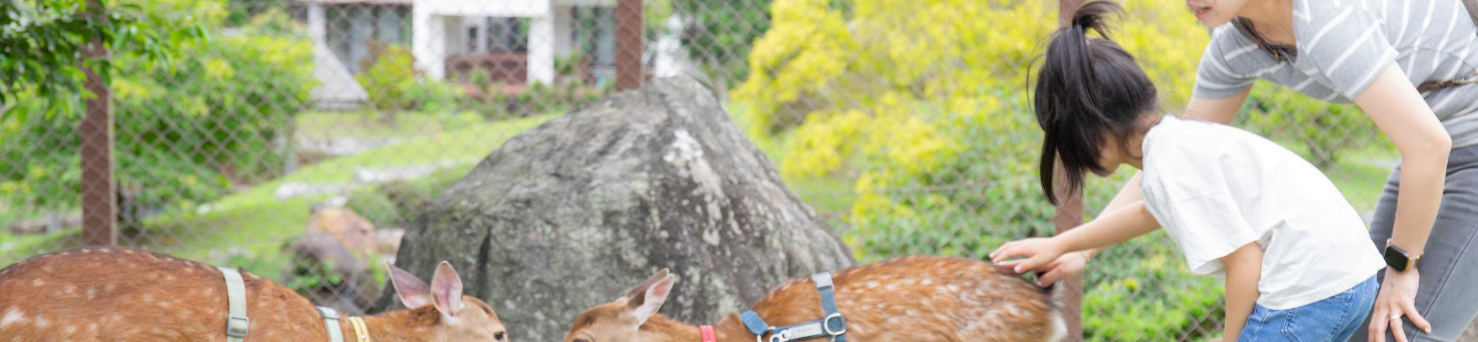 Taman Tema Jepun LOHAS Green Life