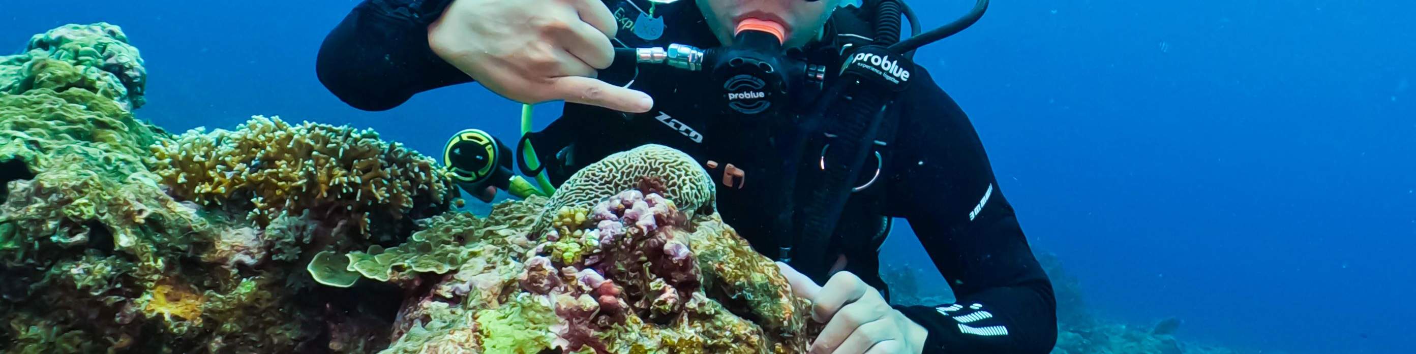 Taitung: Green Island Shuiqing Diving Hostel Taucherlebnis