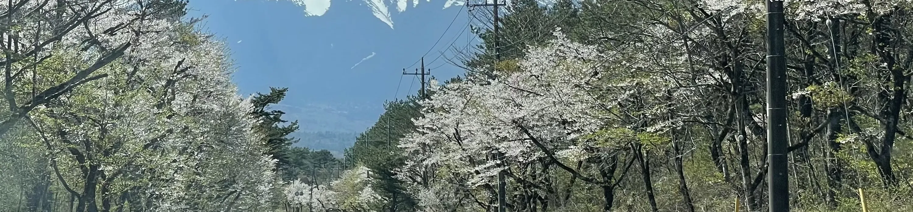 富士山露营圣地：朝雾高原Fumotoppara (ふもとっぱら)露营场 2天1夜 露营体验