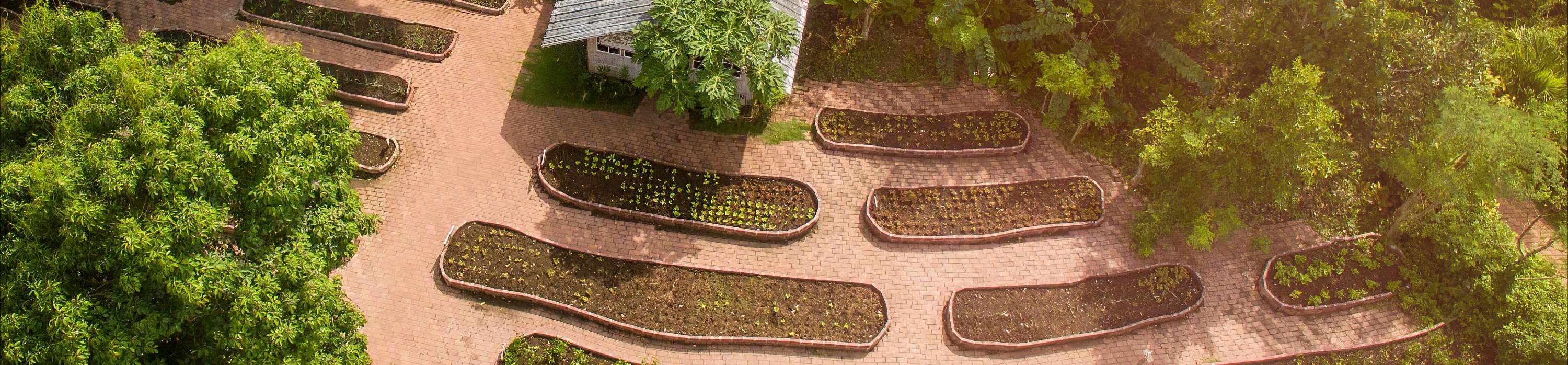 사우스 팜 아티산 빌리지