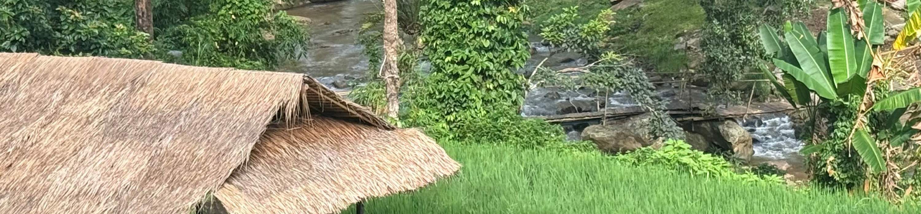 Penerokaan Kehidupan Ladang Setengah/Sehari Penuh Dari Tanah ke Meja