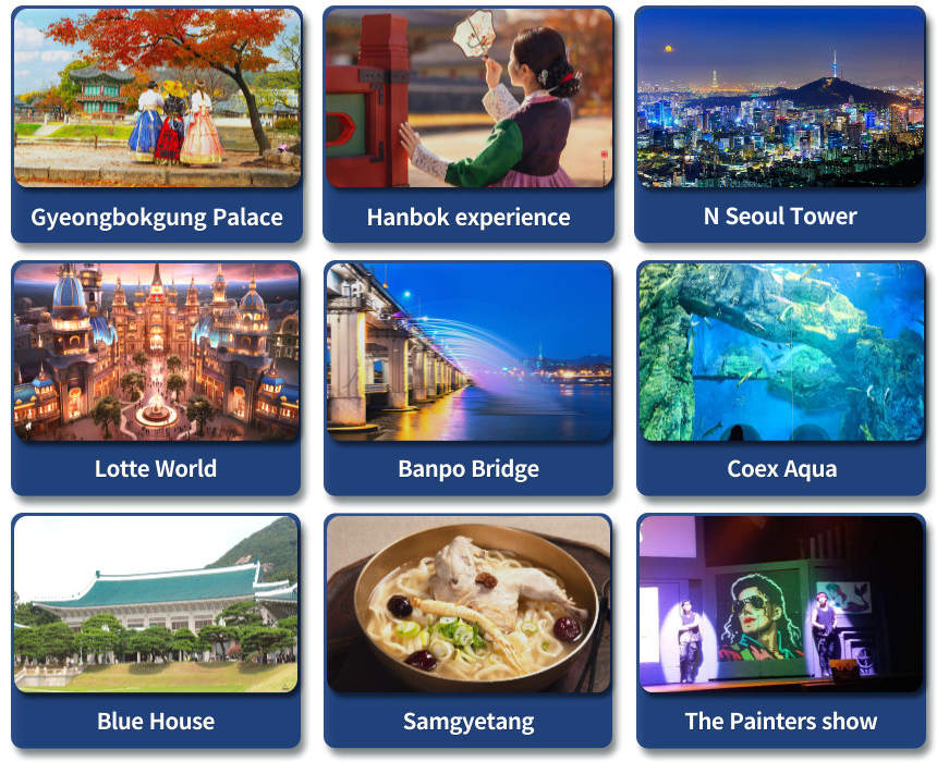 Sewa Mobil dengan Pengemudi ke Seoul City / Pinggiran Kota Seoul / Gangwon-do (Berangkat dari Gapyeong, Chuncheon)