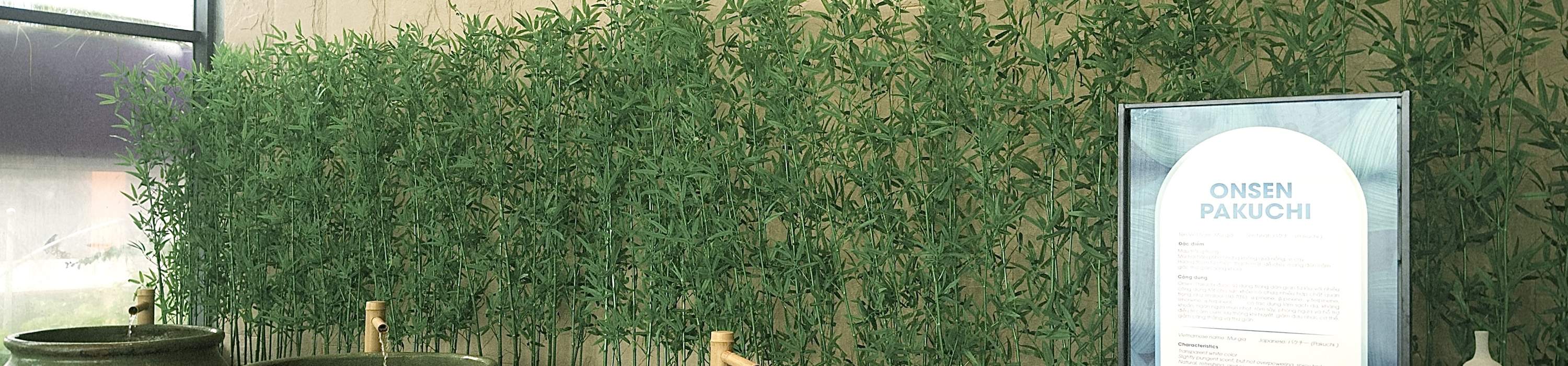 ประสบการณ์ออนเซ็นแบบญี่ปุ่นที่ Flamingo Ibiza Hai Tien Resort