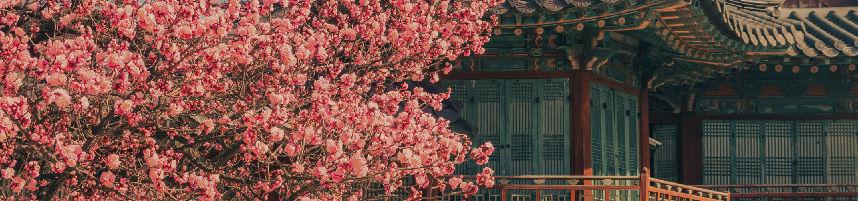 ディスカバーソウルパス