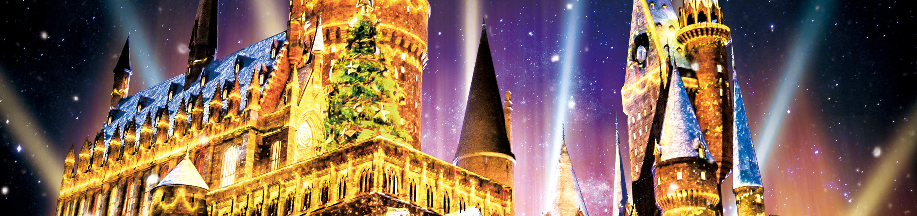 การแสดง Hogwarts™ Magical Night - Winter Magic