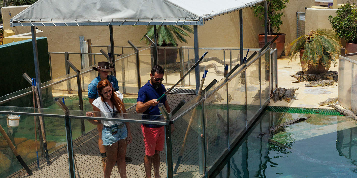 Билет Croc and Darwin