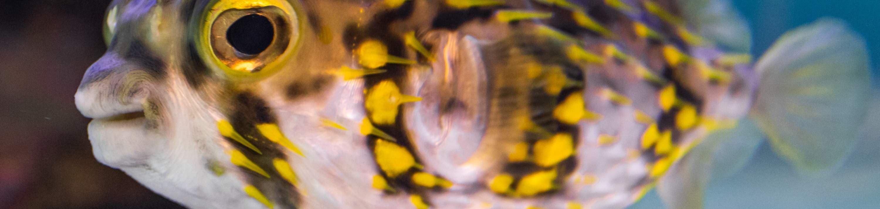 Entrada al Dolphin Discovery Center en Bunbury