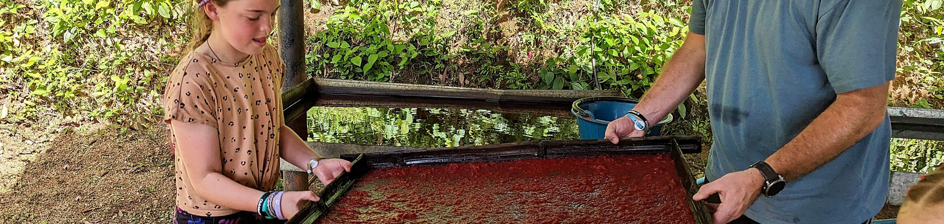 Esperienza con gli elefanti a Phuket