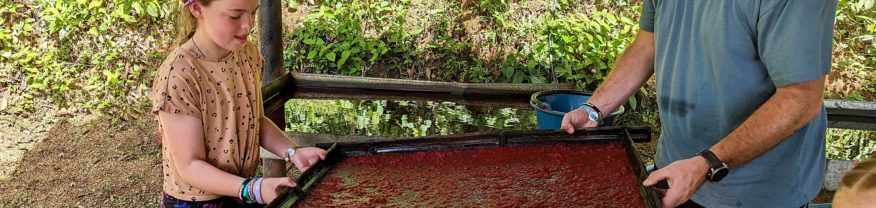 普吉岛大象体验