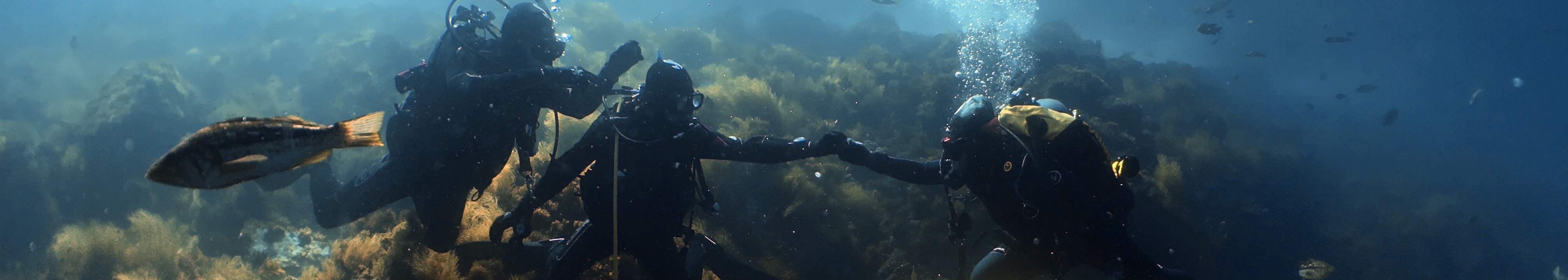 PADI Open Water Diver