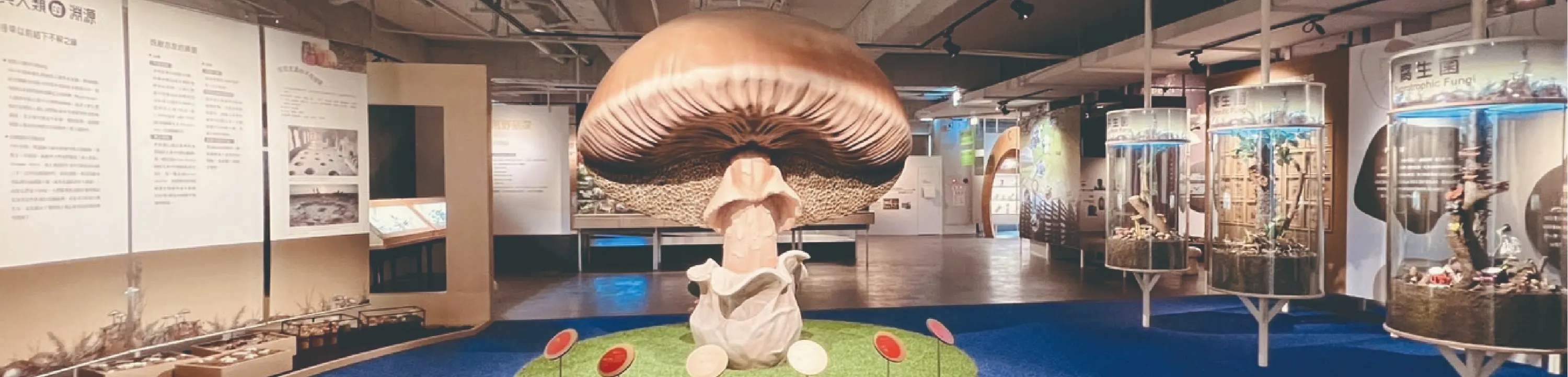 雾峰菇类产学馆