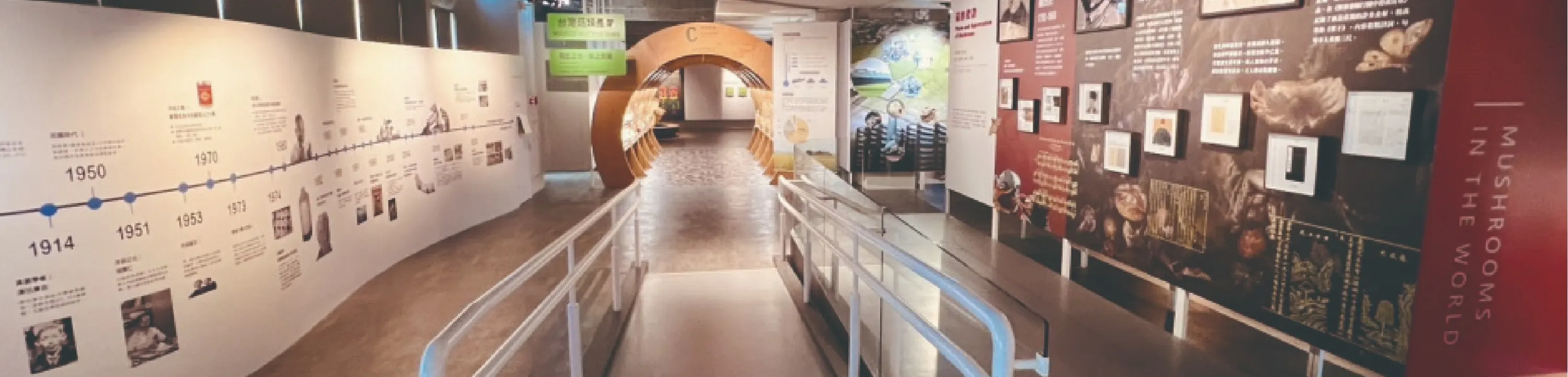 雾峰菇类产学馆