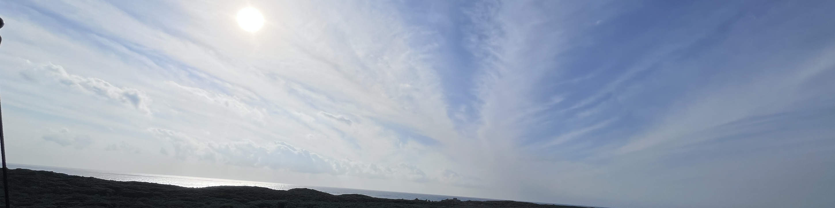 툴룸 패스트트랙 티켓