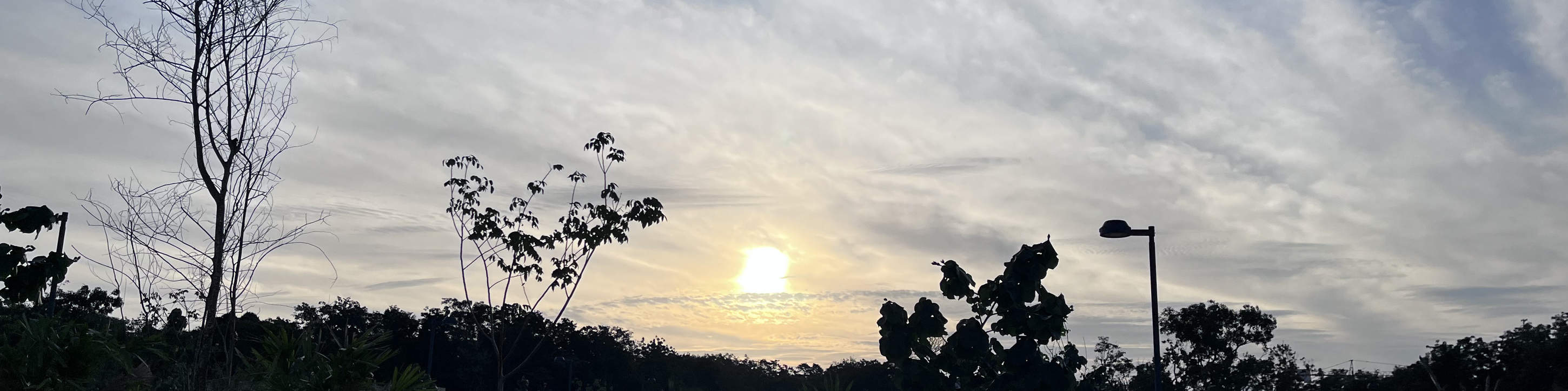 トゥルム遺跡 優先入場チケット