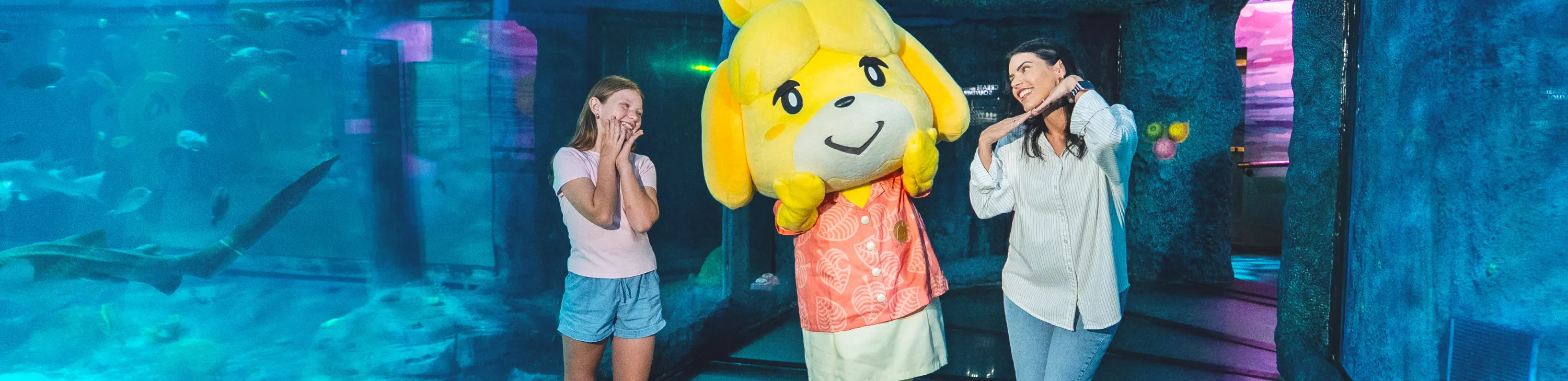 雪梨海洋生物水族馆门票