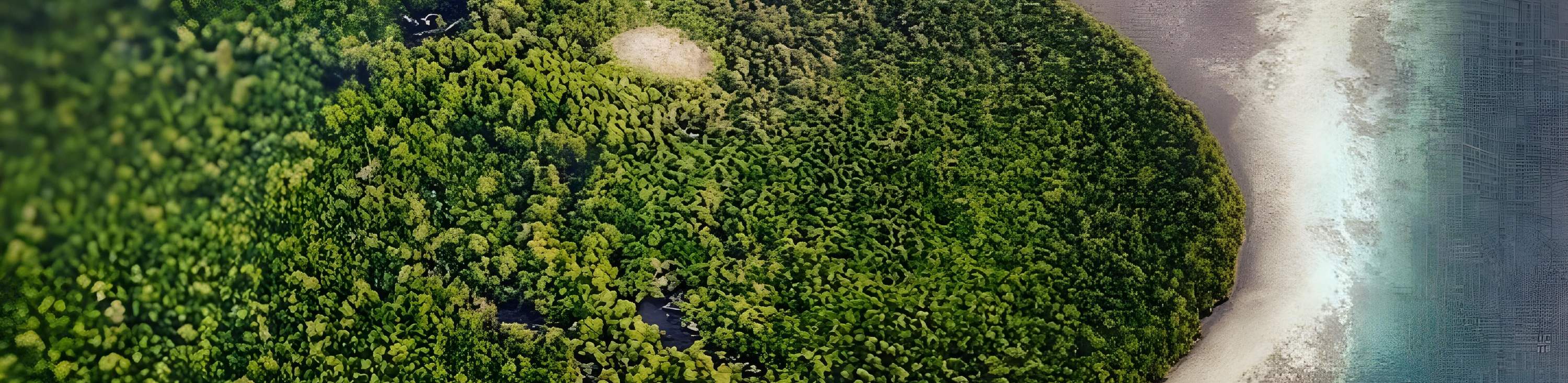 ภาพมุมสูง เกาะกาลง