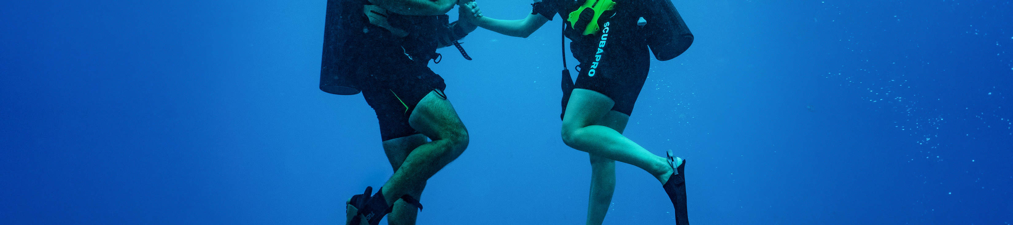 PADI Open Water Diver [eLearning]