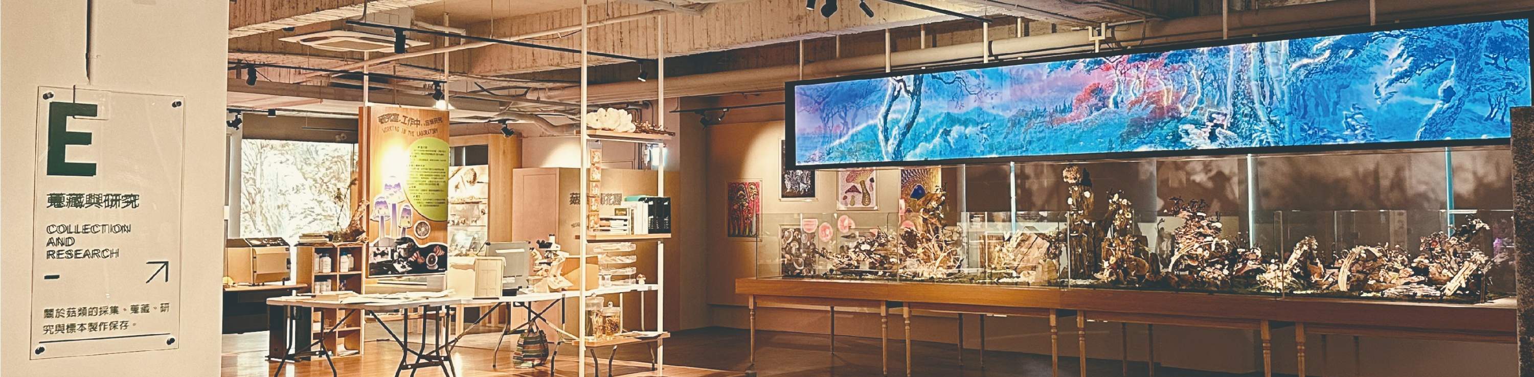 Muzium Industri dan Akademik Cendawan Wufeng