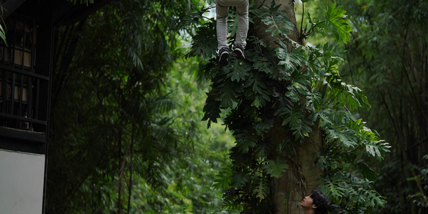 絕對安全又有趣，適合4 - 80歲的所有家庭成員。