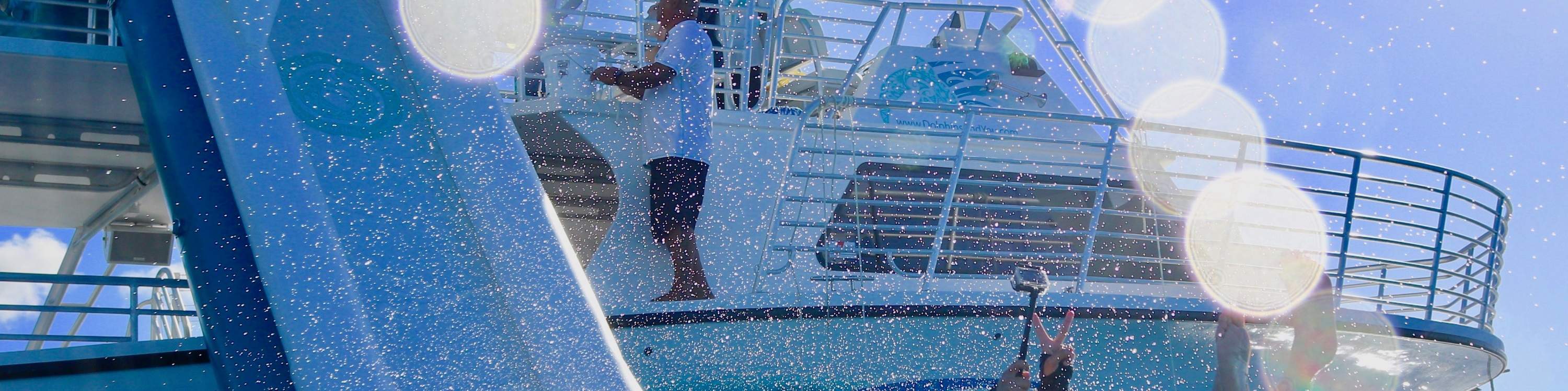 Discover the Magic of Oahu Dolphin Cruise with Exciting Water