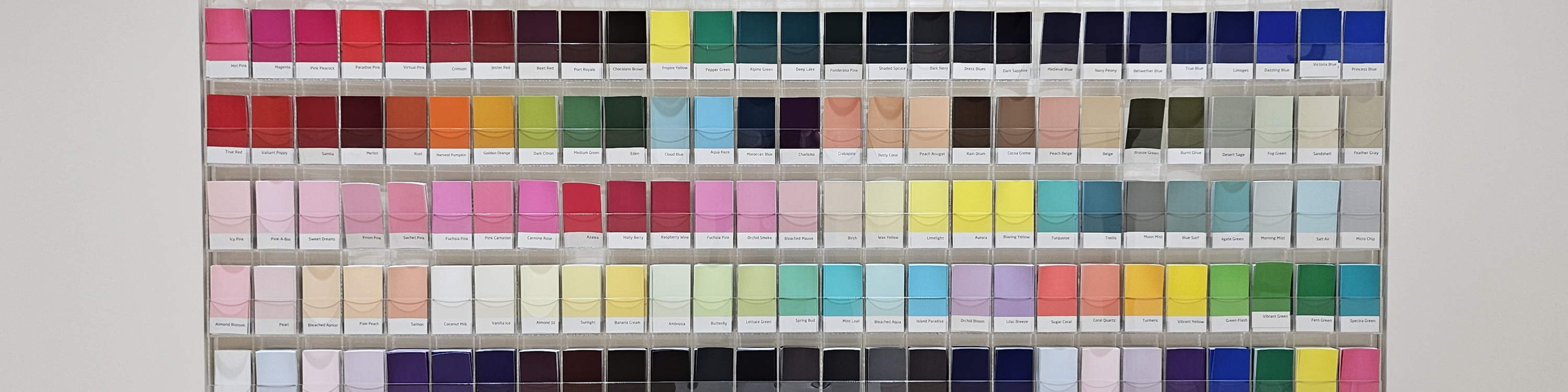 Colorize Cheongnyangni Store