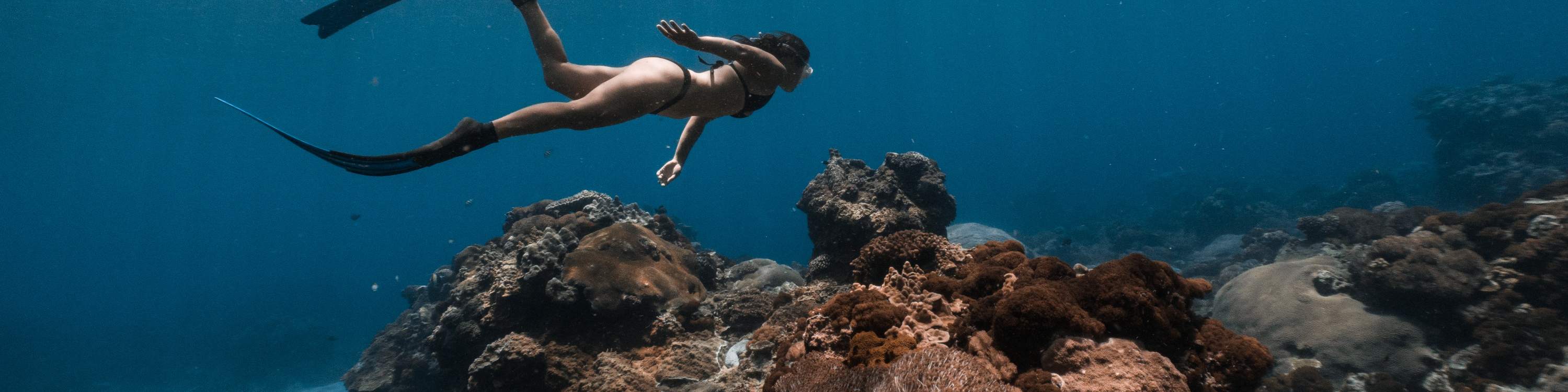 臺東: 綠島自由潛水體驗 (免證照&附海底攝影)