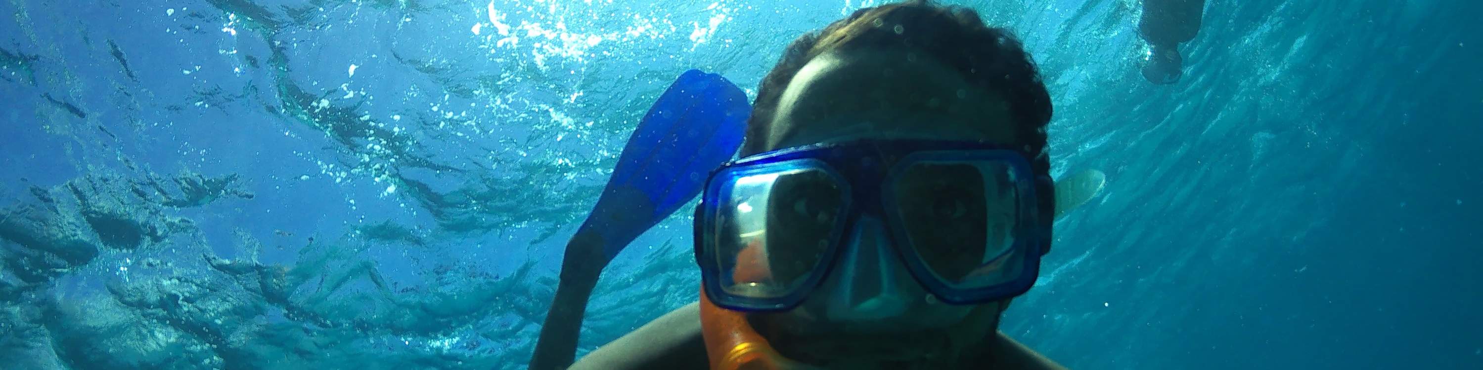 Excursion de plongée en apnée à Orange Bay Island avec déjeuner et sports nautiques