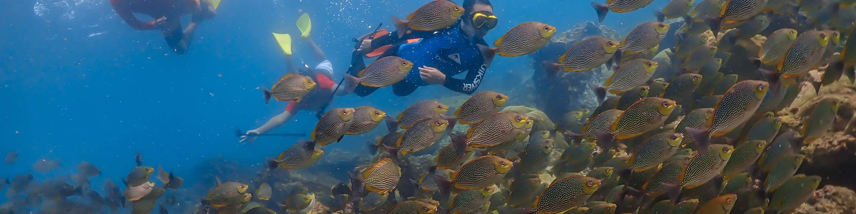 Esperienza all'Isola di Nemo con Foto con Drone e Pranzo
