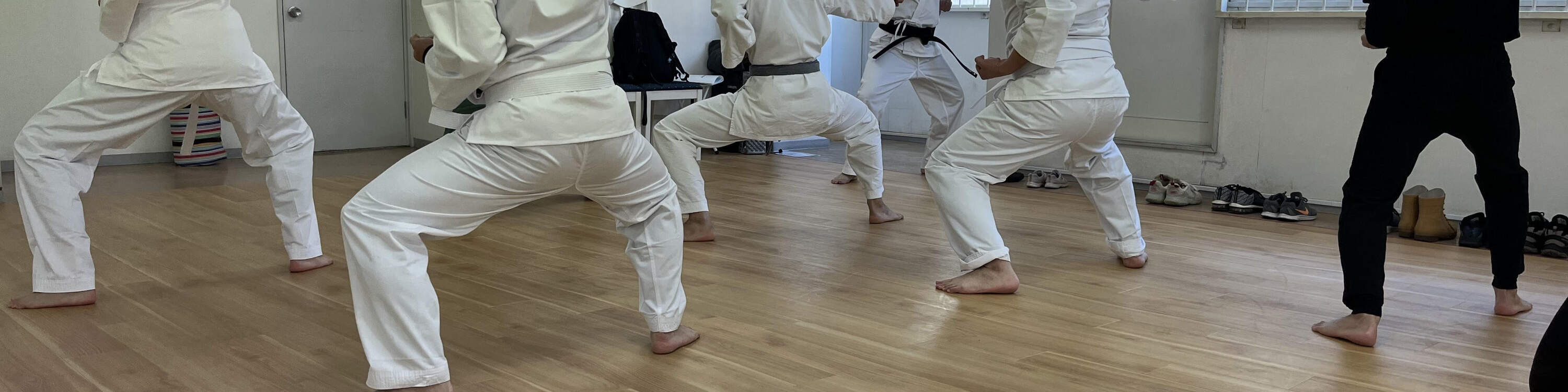 Japanese Calligraphy & Karate Experience in Kagoshima