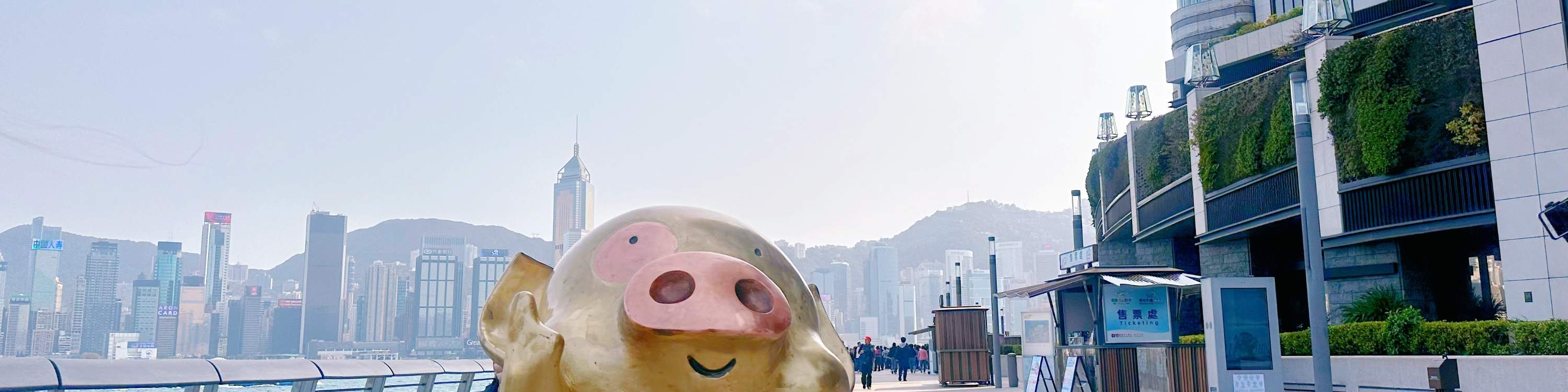 Hong Kong Water Taxi
