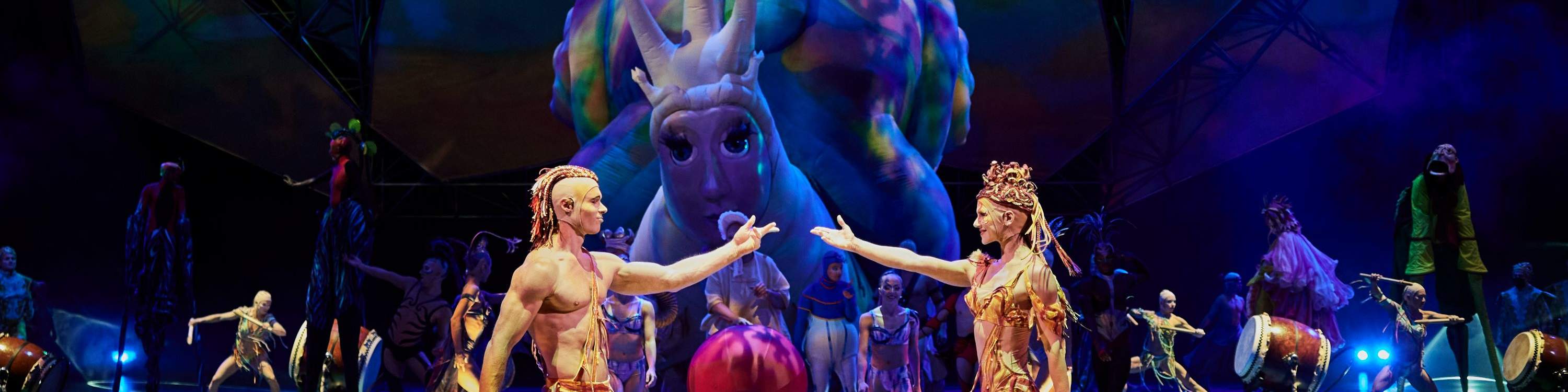 親眼觀看充滿激情和藝術的獨特故事