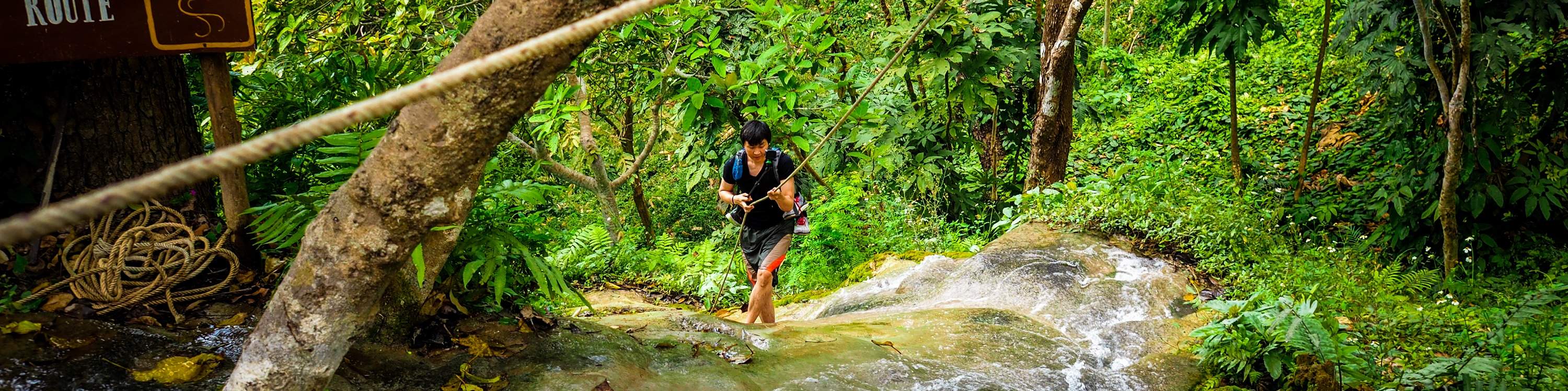 Chiang Mai Elephant Sanctuary and Sticky Waterfall Tour – Full Day - Klook