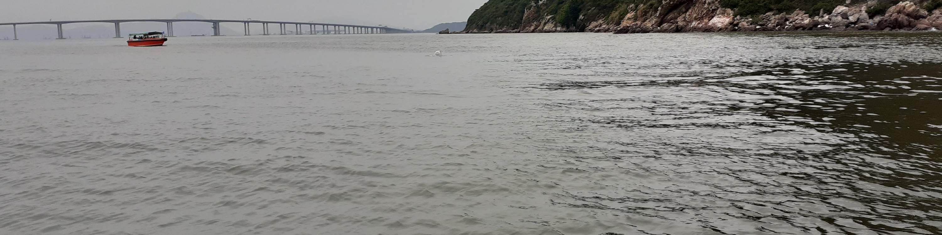 Tiket bot bersiar-siar Tai O