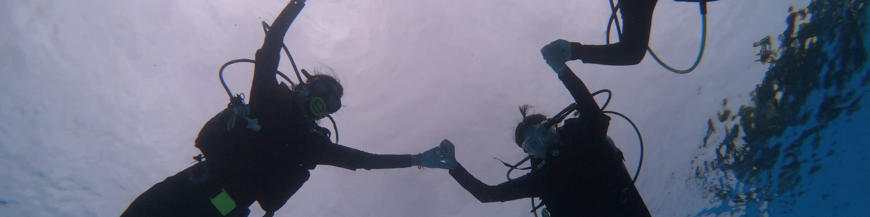 Plongée sous-marine à Pattaya par Manta Marina