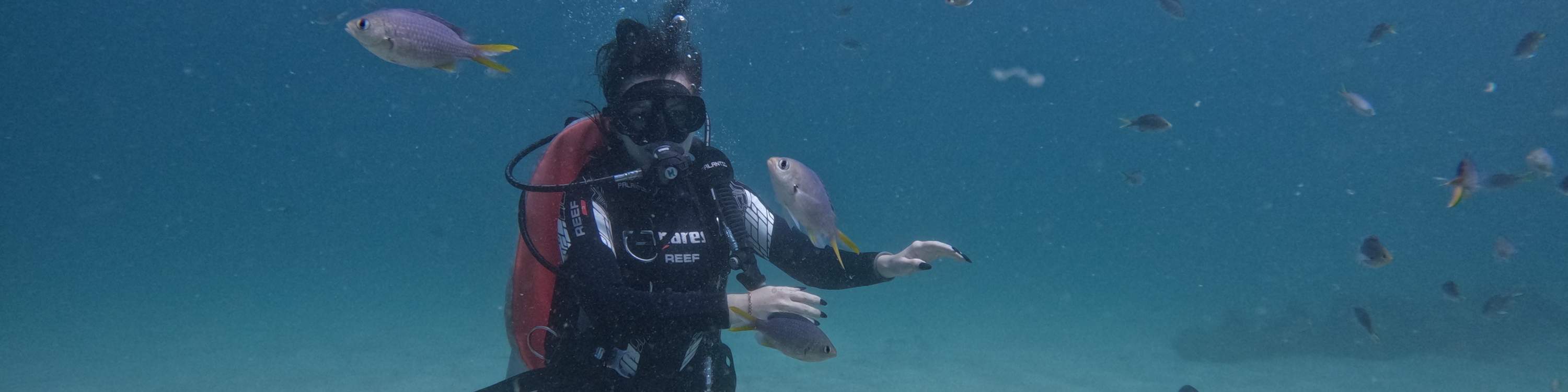 Experiencia de buceo para principiantes en Fujairah 