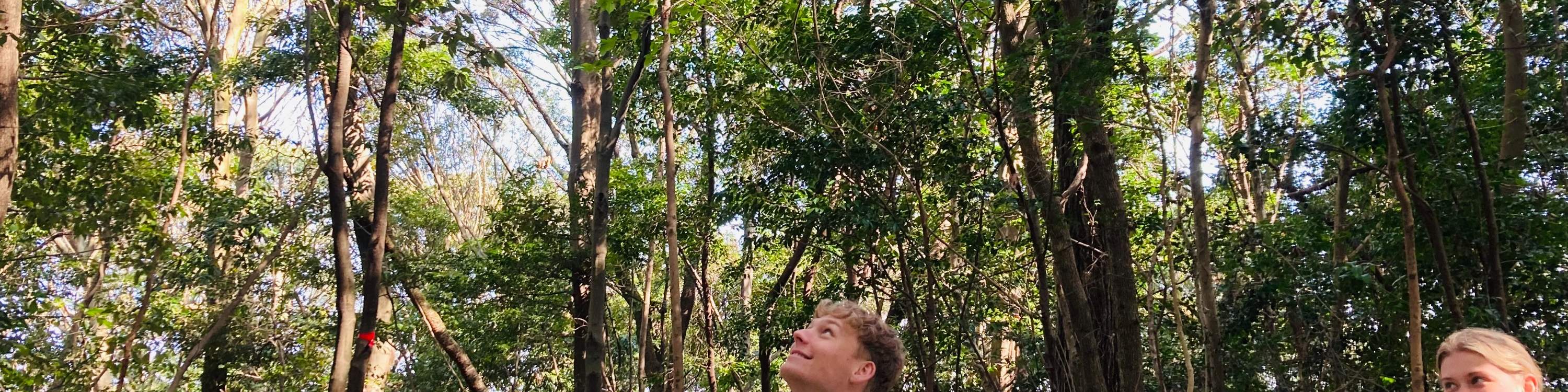 廣島春季早間徒步之旅 & 露天茶道