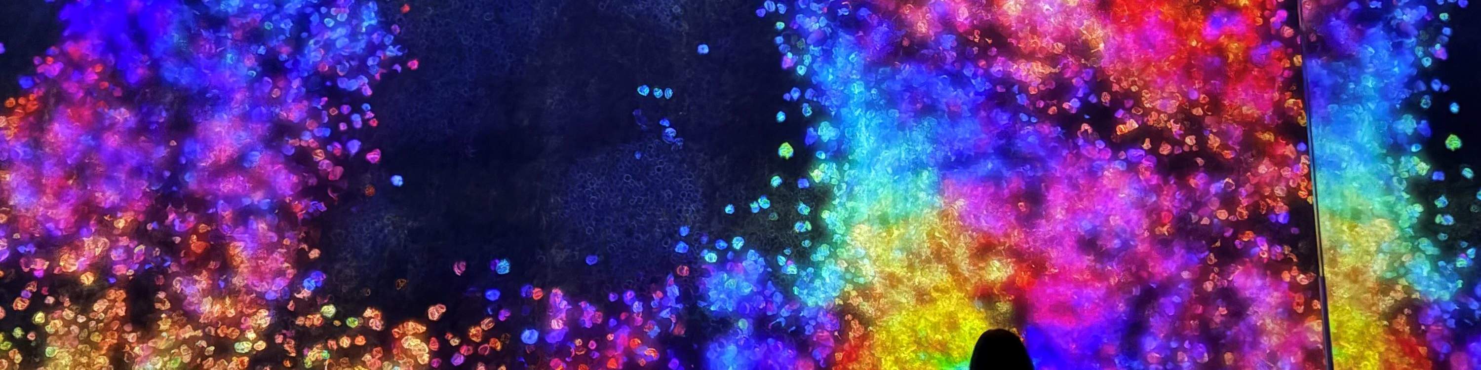 teamLab Planets - выставка