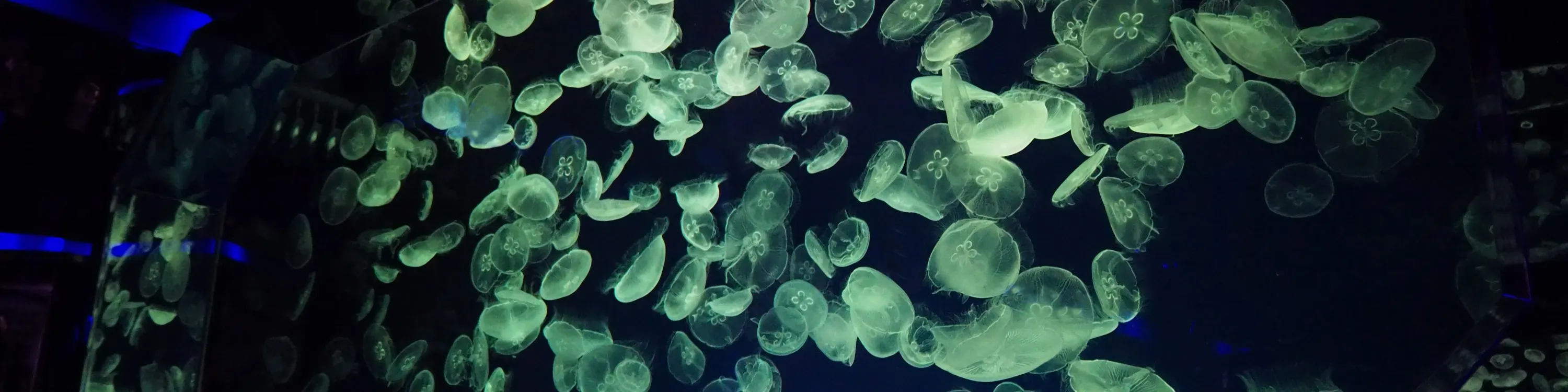 名古屋港水族馆