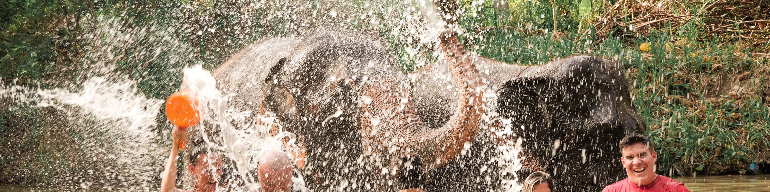 waktu memandikan gajah