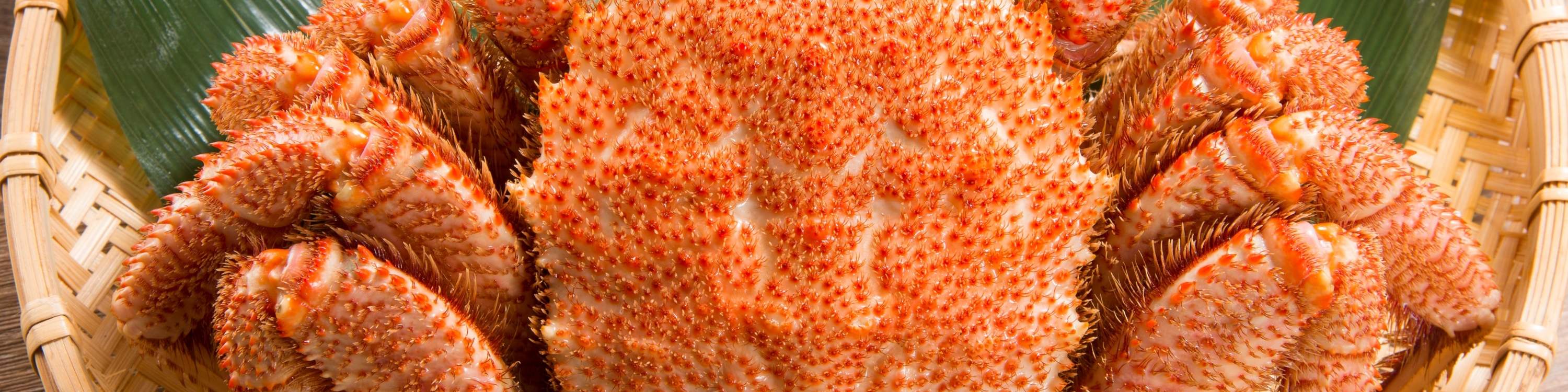 ร้าน Kanisushi Kato ซัปโปโร｜อาหารประเภทปู - ฮอกไกโด