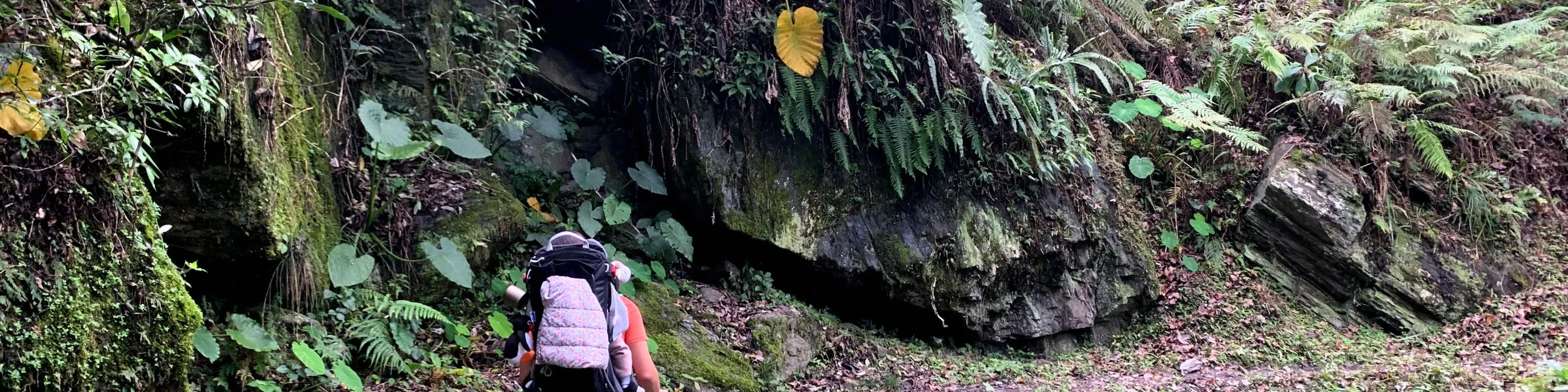 黑熊森林踏查｜台湾黑熊栖地生态解说一日游