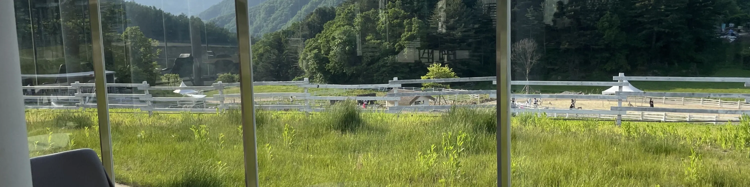 绵羊牧场 Tikcet（羊驼、绵羊、兔子） 京畿道加平