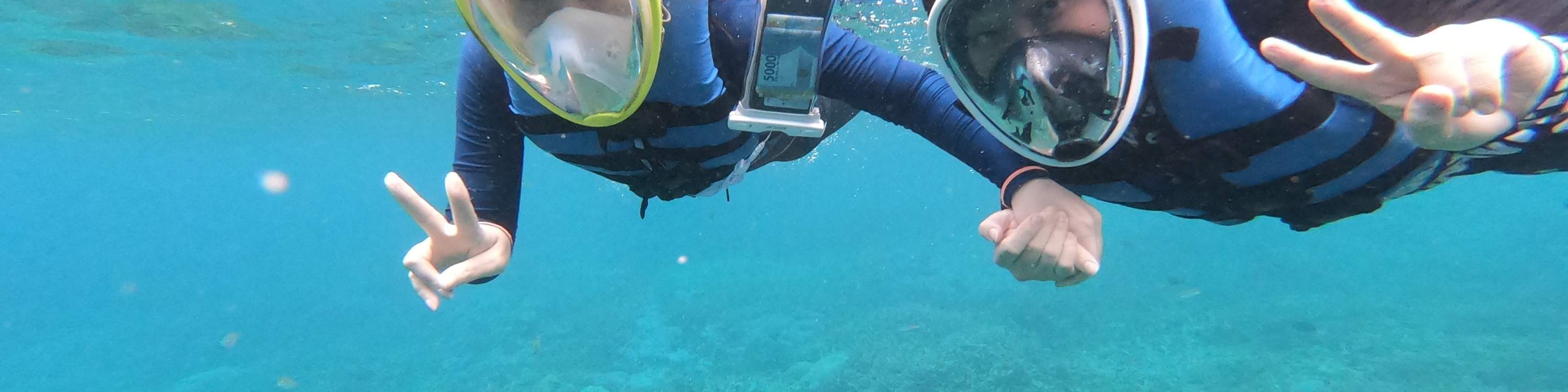 Tempat Snorkeling Lembongan Activity