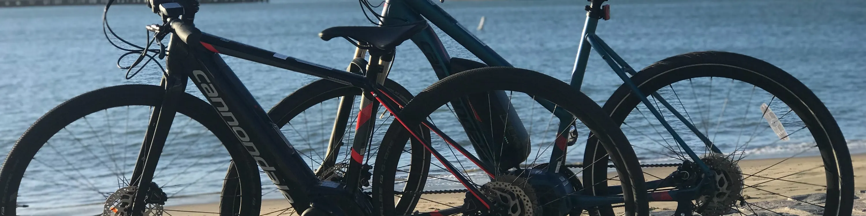 电动自行车体验