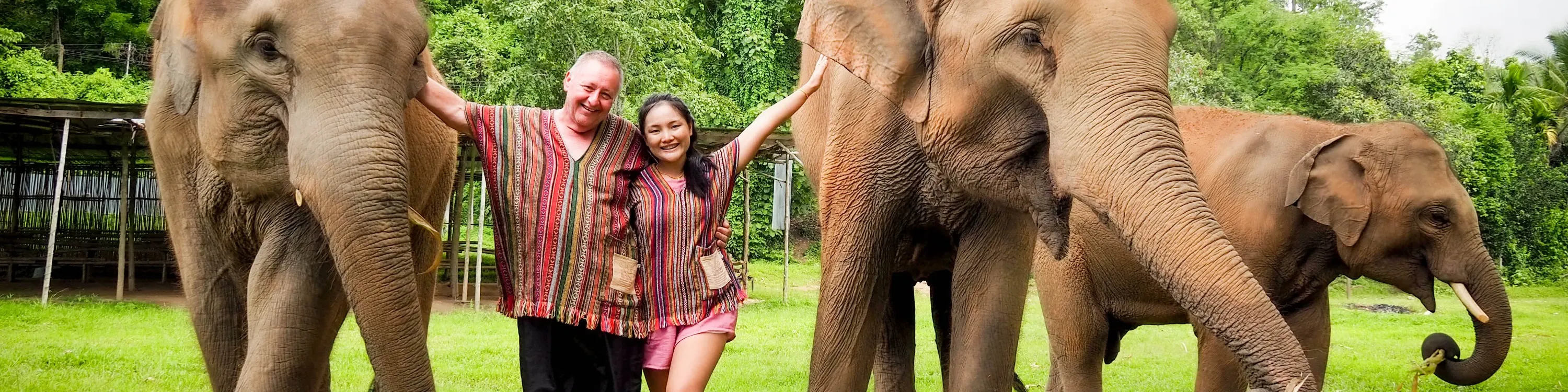 Enjoy the good time with elephant and love one