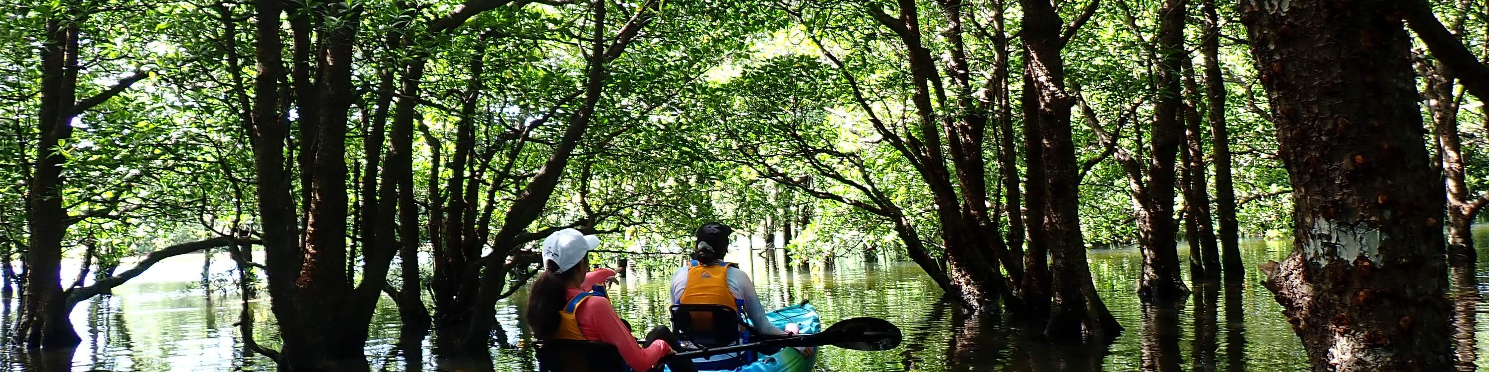 在阴凉处稍作休息